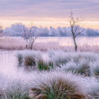 Simon Shore's "Swavesey Lake Sunrise" came joint second in the public vote